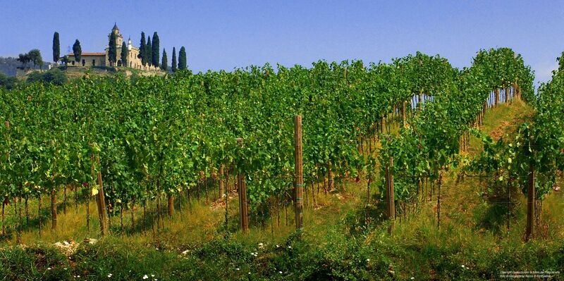 Italy_Area_-_Franciacorta_Photo_Fabio_Ingrosso.jpg