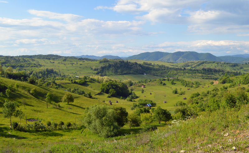 Romania_Area.jpg