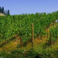 Italy_Area_-_Franciacorta_Photo_Fabio_Ingrosso.jpg