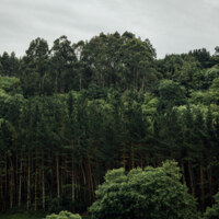 Asturias_Area_kO_____s.jpg